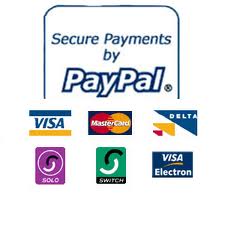 Secure payment for assignment by paypal Secure payment for assignment by paypal